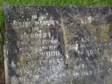 image of grave number 271085